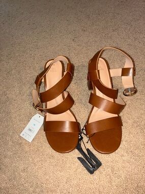 Brown Triple-Strap Women’s Sandals with Ankle Buckle size 10